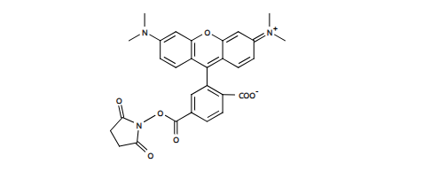 噻唑橙类染料 *超级纯*