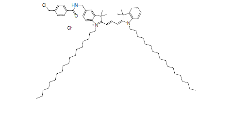 细胞膜荧光探针CytoTrace™ CM-DiI