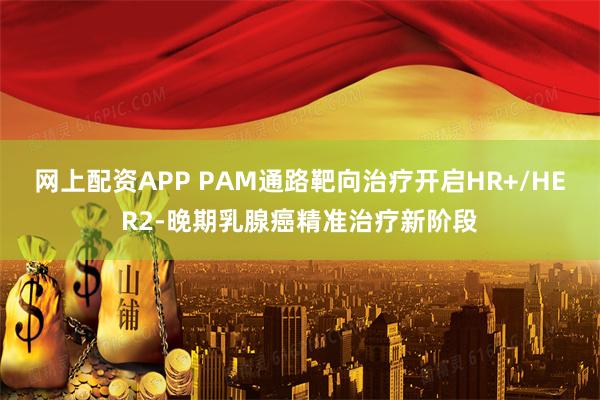 网上配资APP PAM通路靶向治疗开启HR+/HER2-晚期乳腺癌精准治疗新阶段